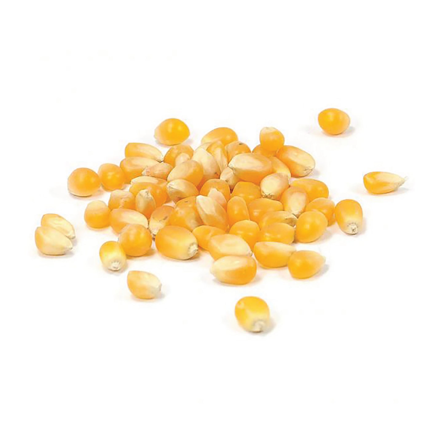 2x 500g Popcorn-Mais (15,90 € / 1 kg) inkl. 7% MwSt.